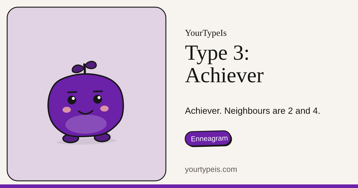 Type 3: Achiever